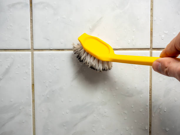 Best Fast Mold Removal  in Runnemede, NJ