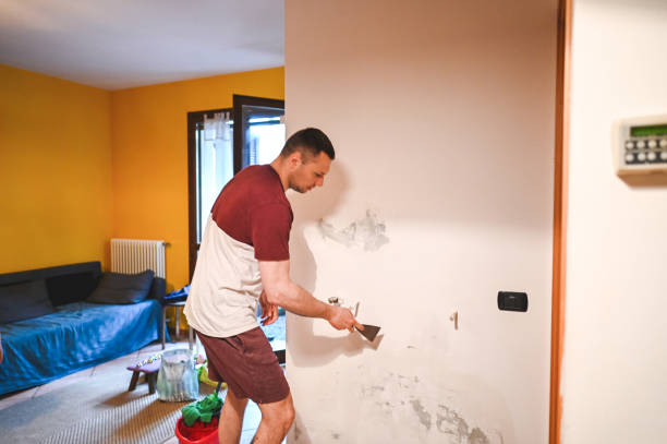 Best Local Mold Removal Service  in Runnemede, NJ