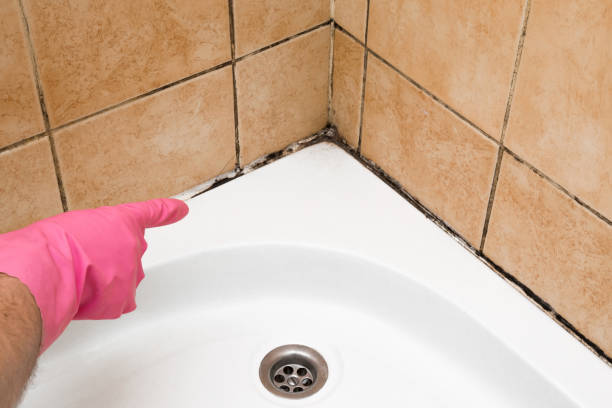 Best Mold Removal Near Me  in Runnemede, NJ